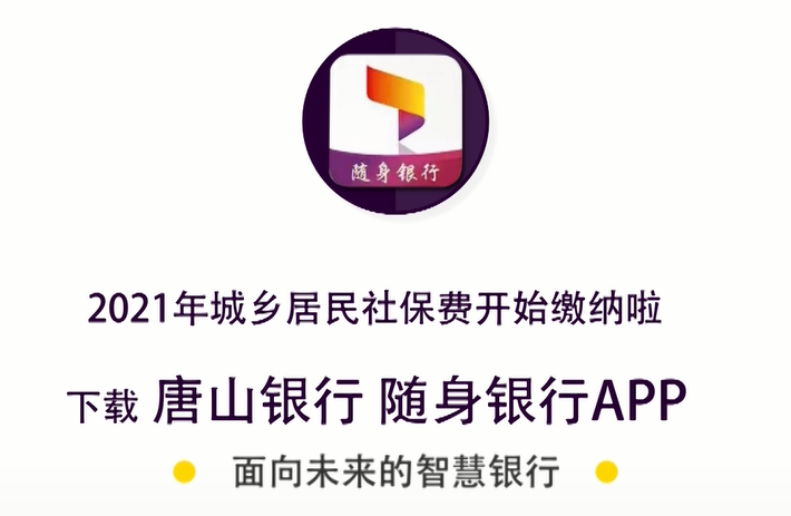 社保交费